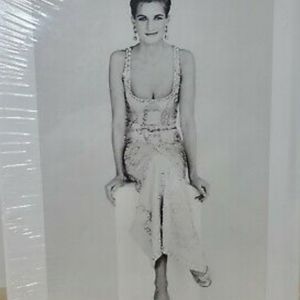 Princess Diana The Portrait                               By, Rosalind Coward